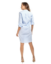 Load image into Gallery viewer, Elliot Pinstripe Maternity & Nursing Shirt Dress
